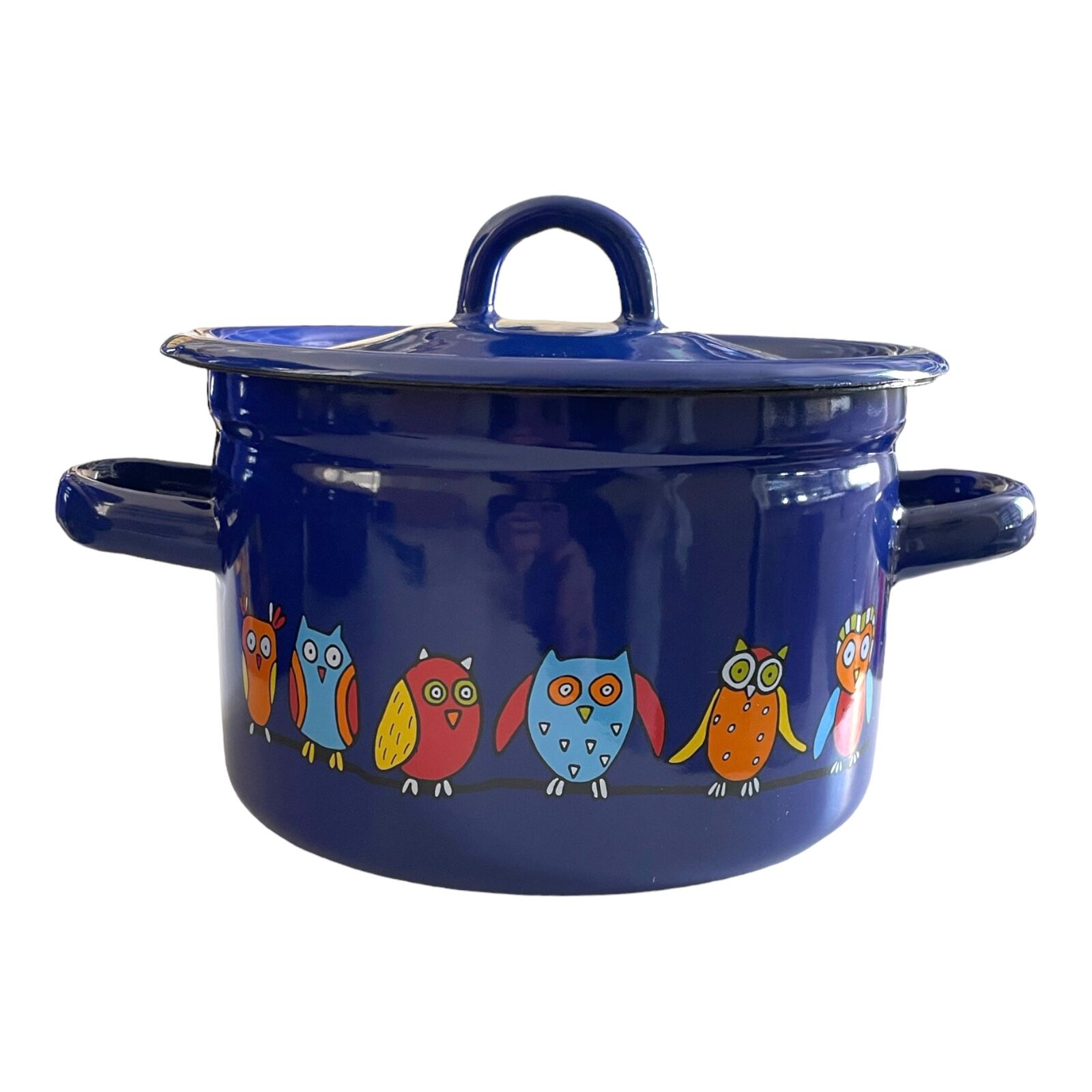 Emaye Tencere-Mavi Baykuş